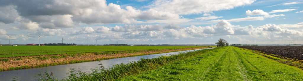 Doe maar gewoon: de Nederlandse cultuur van bescheidenheid – Saskia Maarse